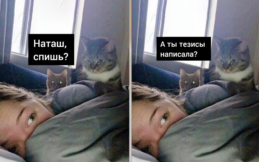 Что такое тезисы на конференцию, как из написать и успешно подготовиться к конференции?