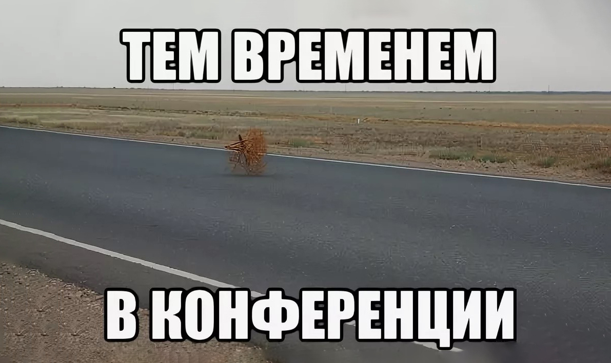 Студенческая научная конференция: что это, как она проходит, и как к ней подготовиться
