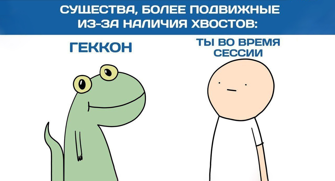 Как происходит ликвидация академической задолженности: что нужно сделать, чтобы закрыть все хвосты?