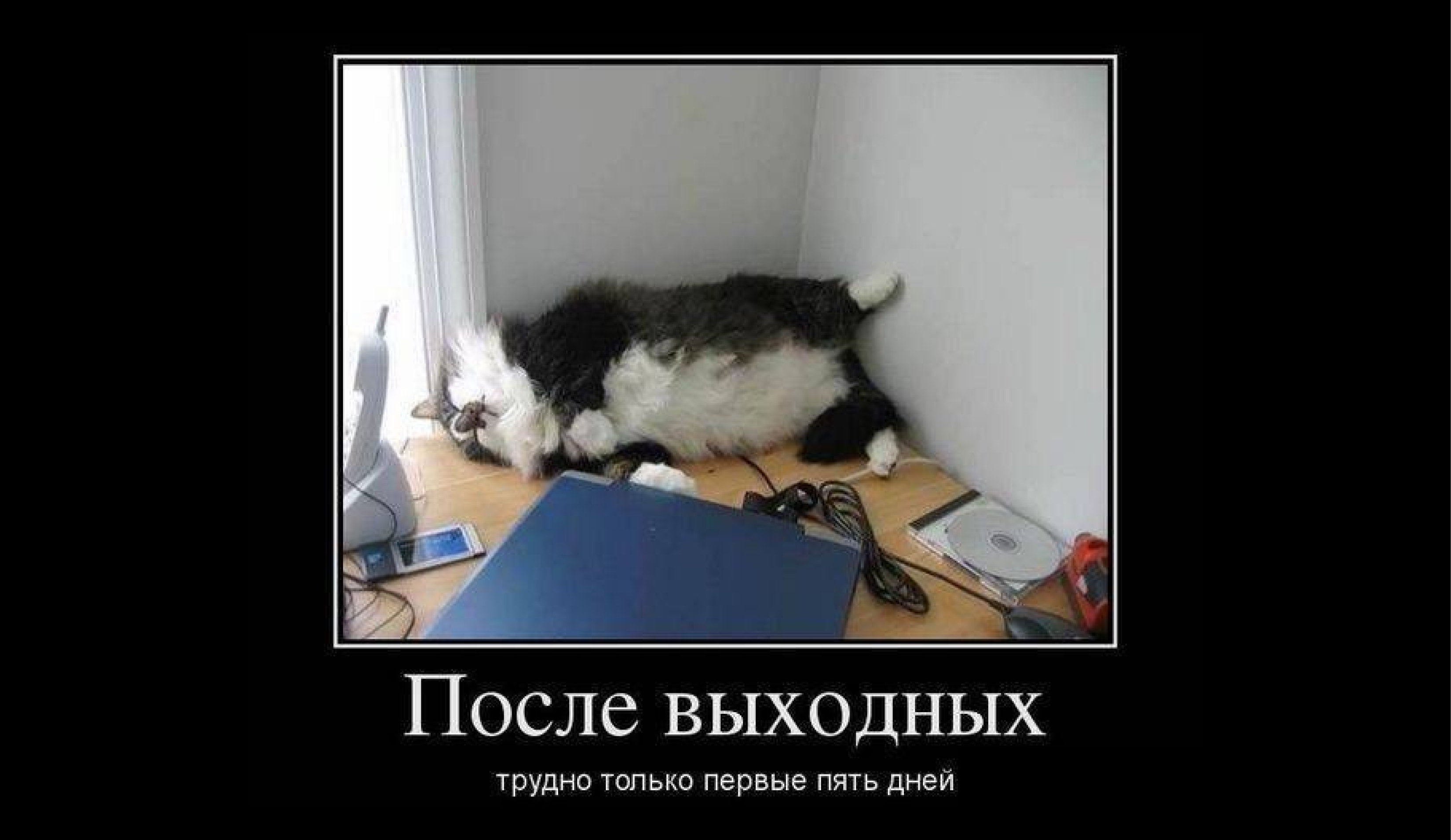 Учеба после зимних каникул? Делимся лайфхаками как вернуться к реальности и начать продуктивную учебу