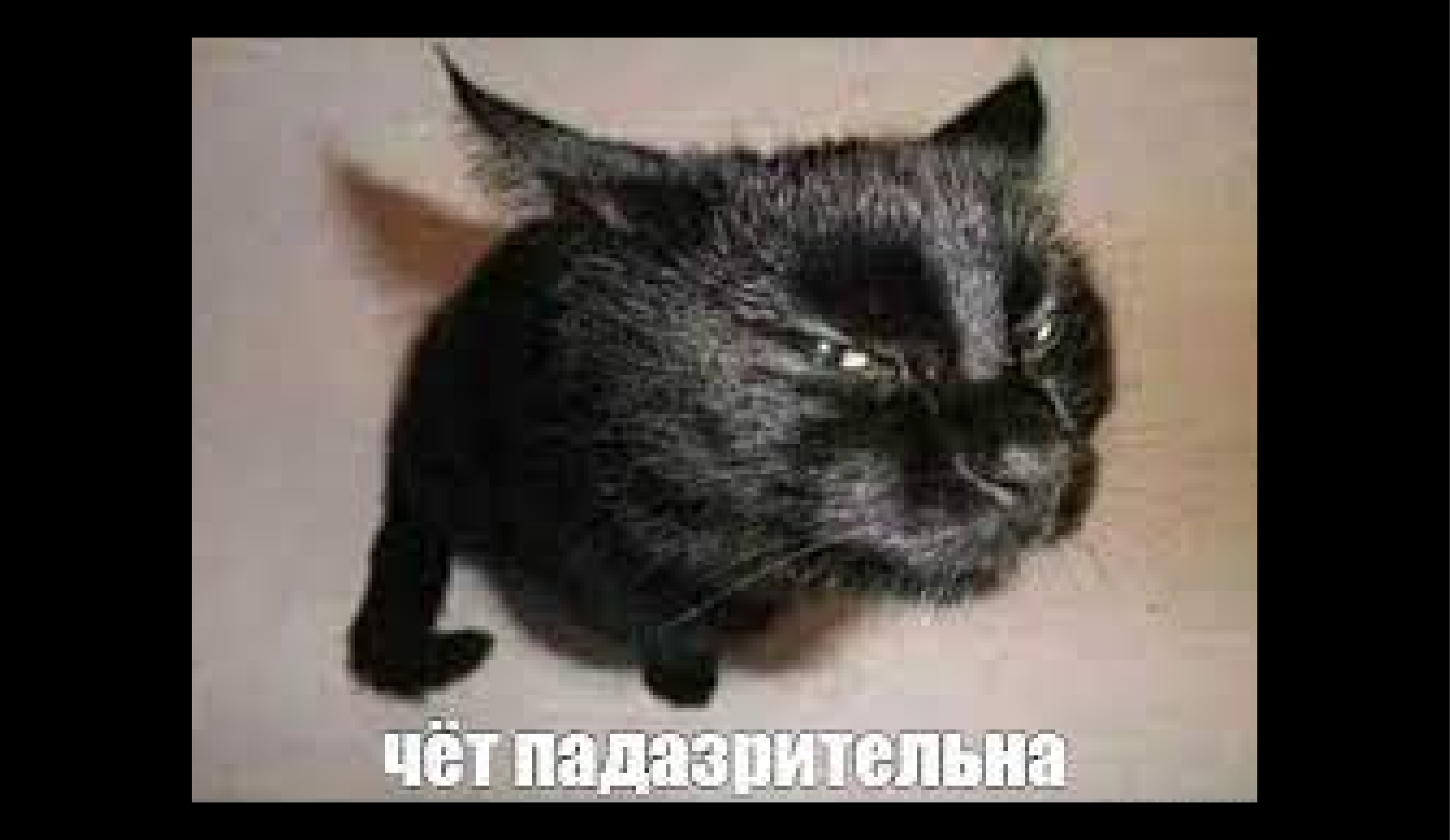 "Семь раз отмерь один раз отрежь" - Какие особенности надо учитывать при подписании учебного договора?