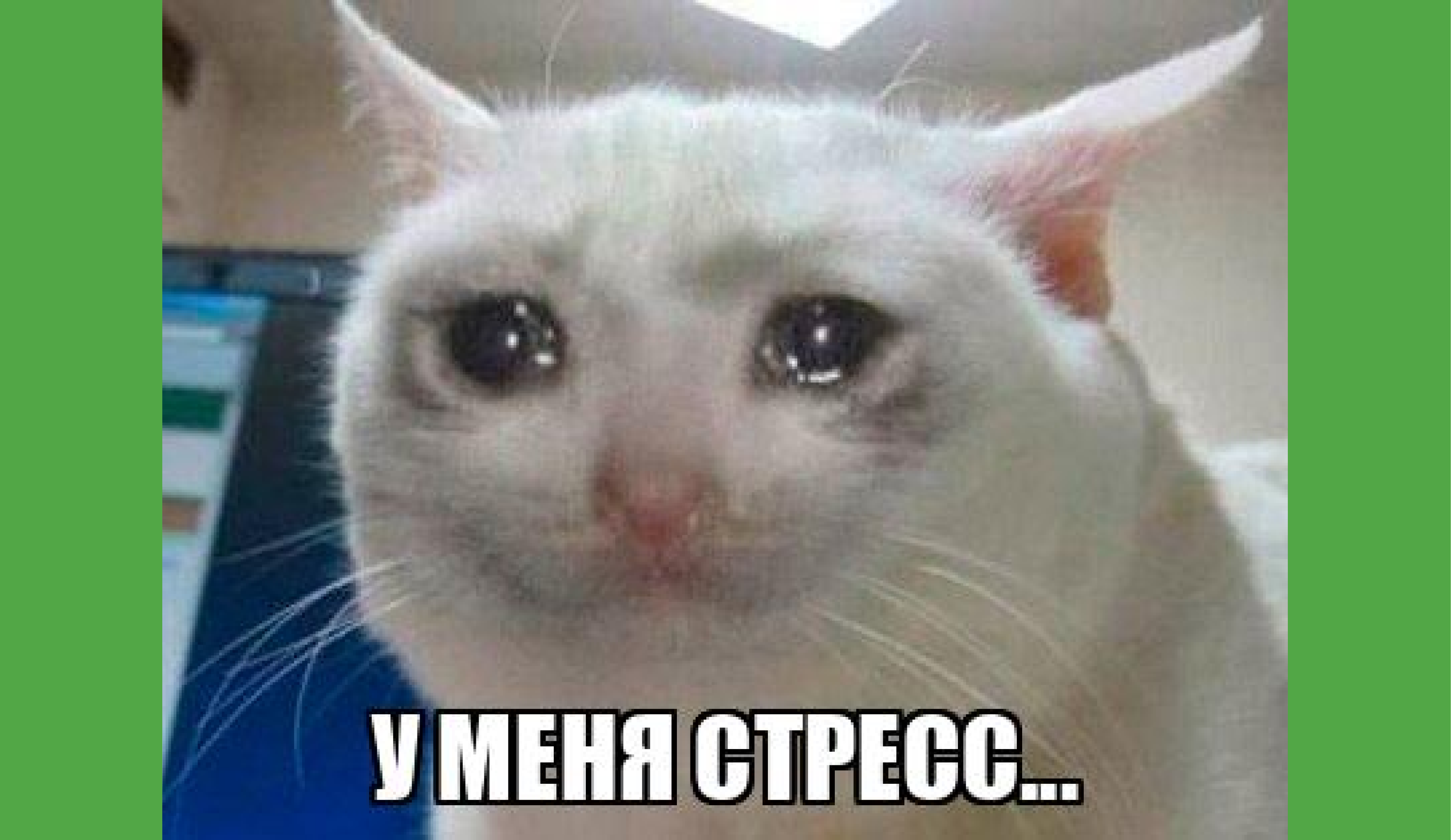Как снять стресс от учебы? Полезные советы и методы которые помогут справиться со стрессом