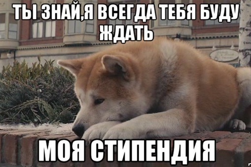 стипендия2