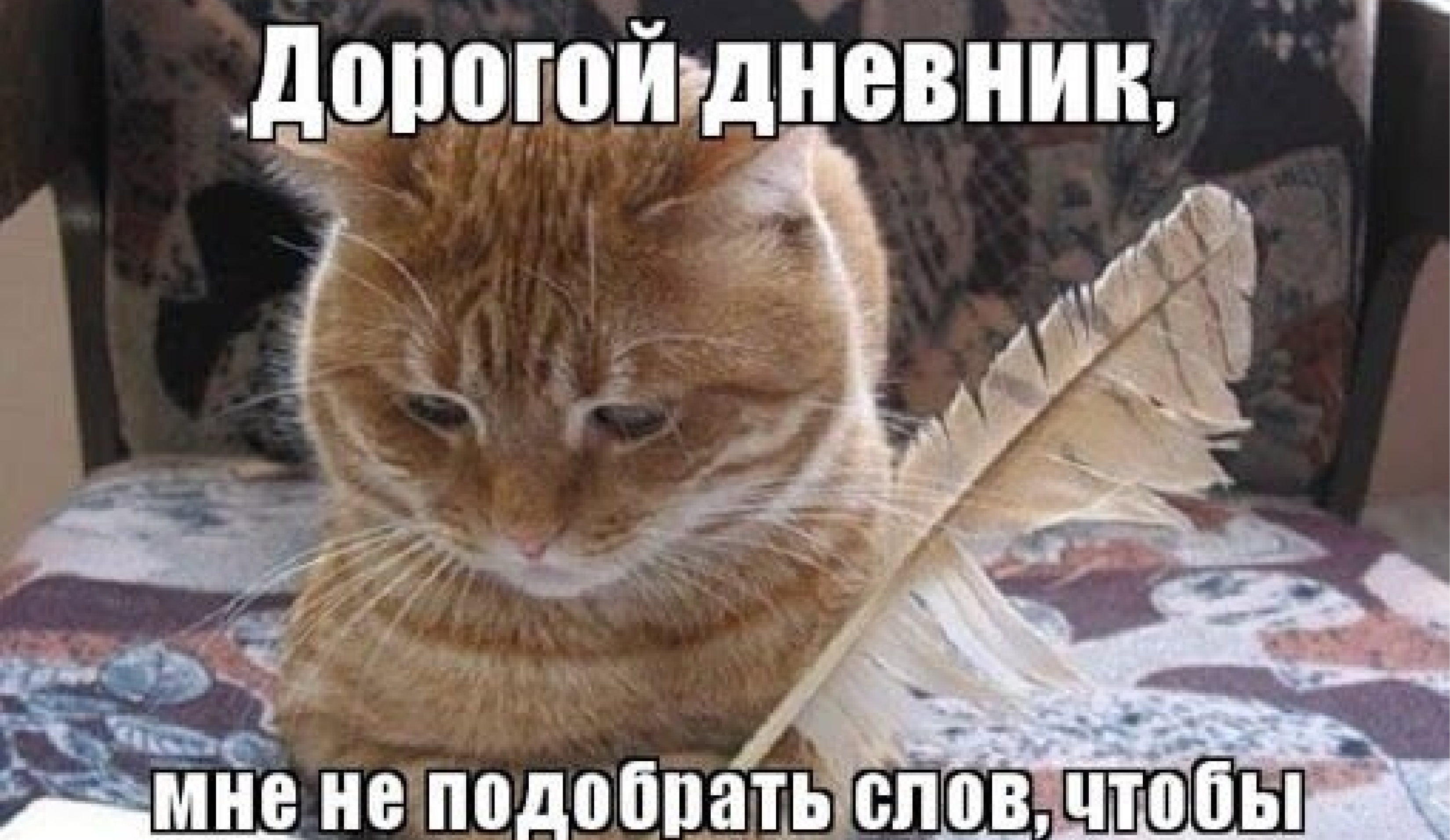 Для чего нужен личный дневник: полезно ли это для учебы?