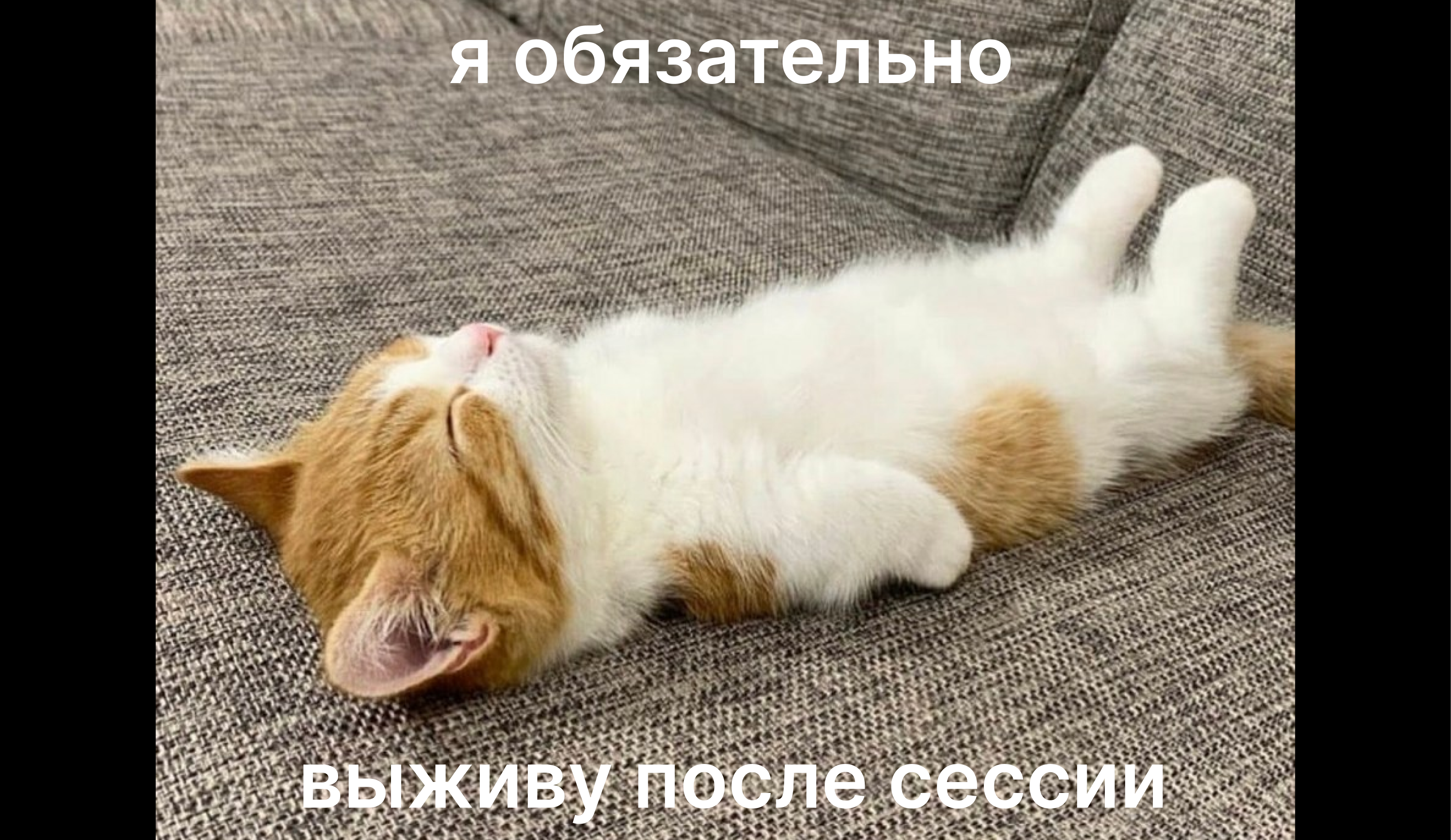 Как пережить сессию с юмором. Мемы про зачет