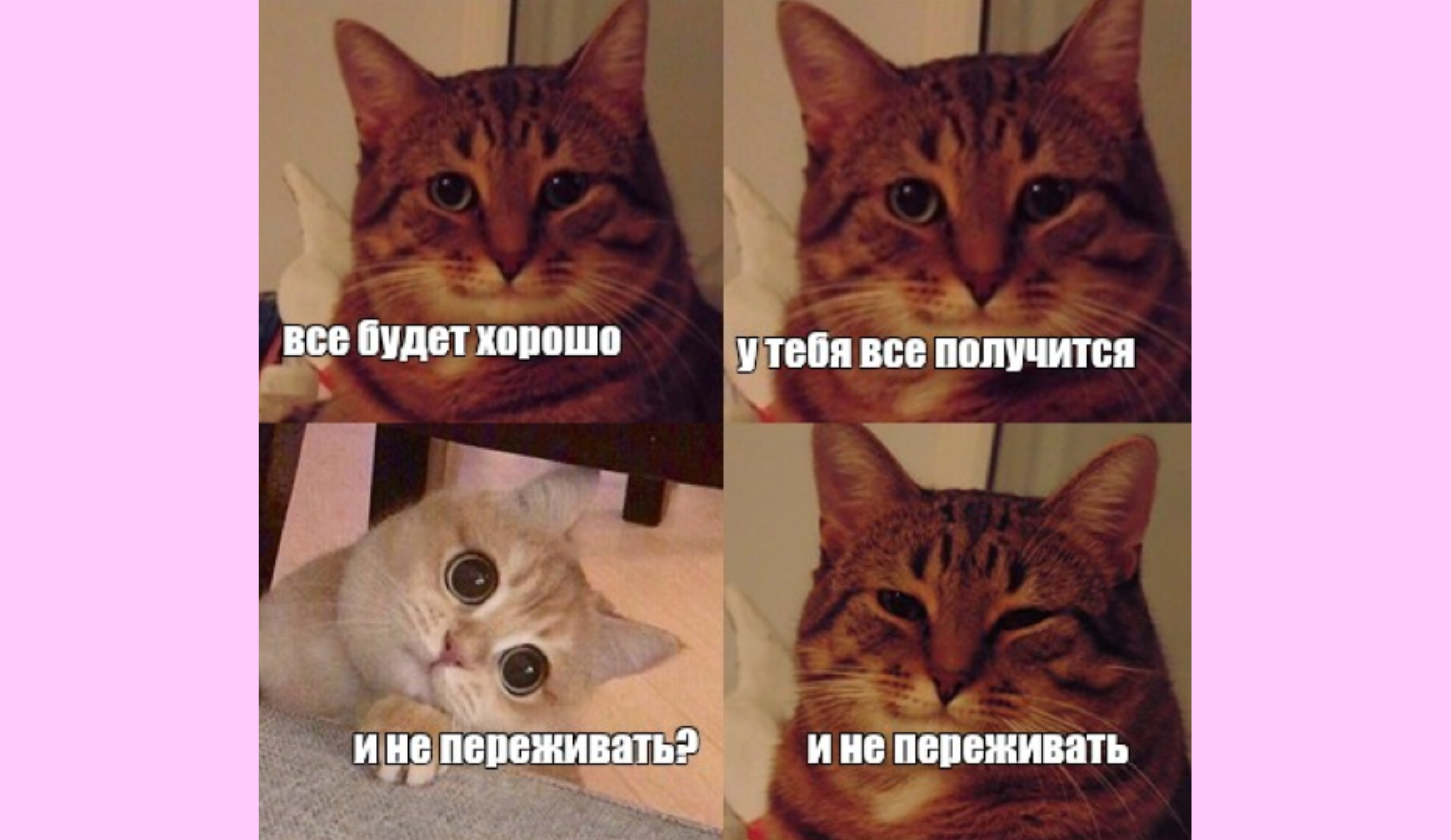 Как подготовиться к зачету, и можно ли это сделать всего за 1 день?