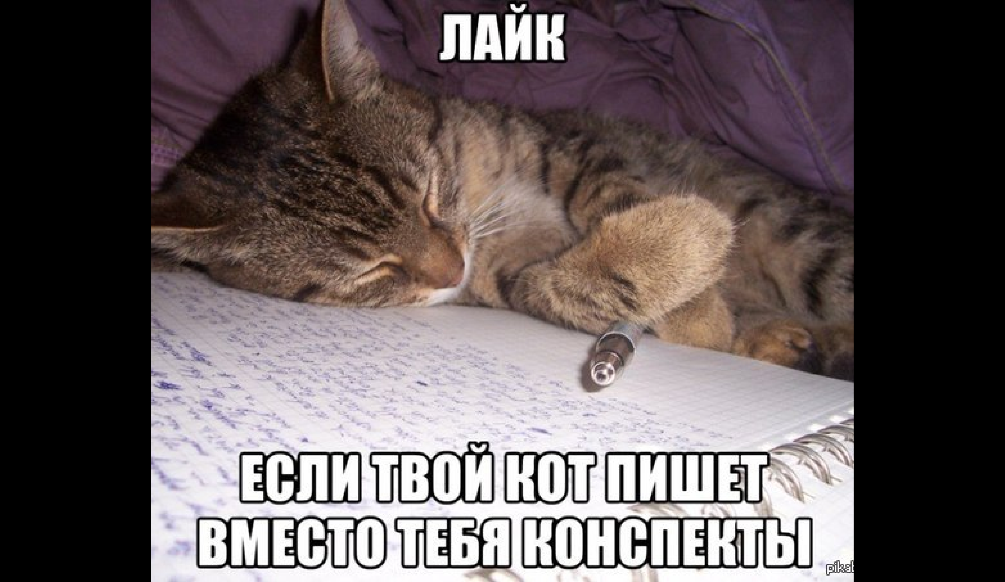 Как правильно написать конспект быстро и эффективно