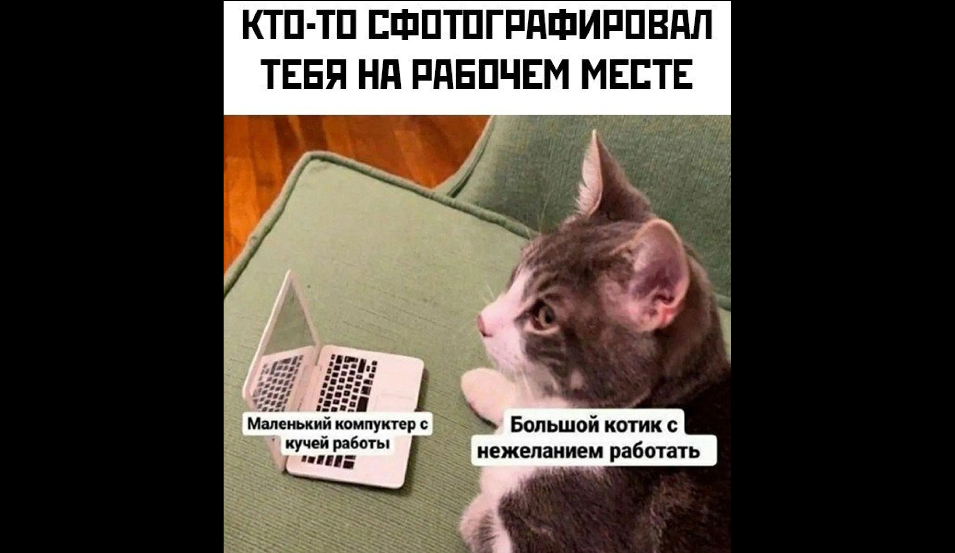 Как выбрать идеальное место для учебы и работы