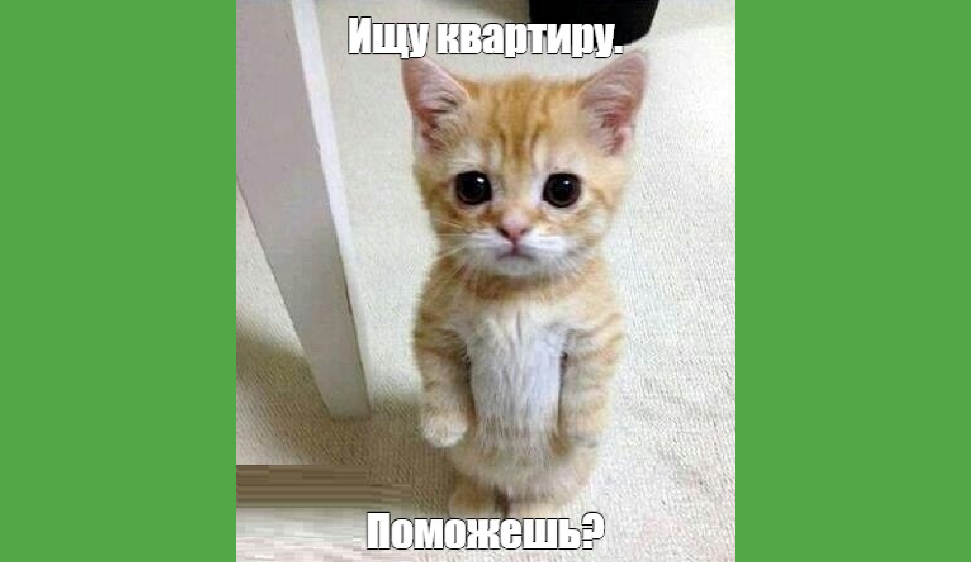 Советы по поиску жилья для студентов: как договориться с арендодателем