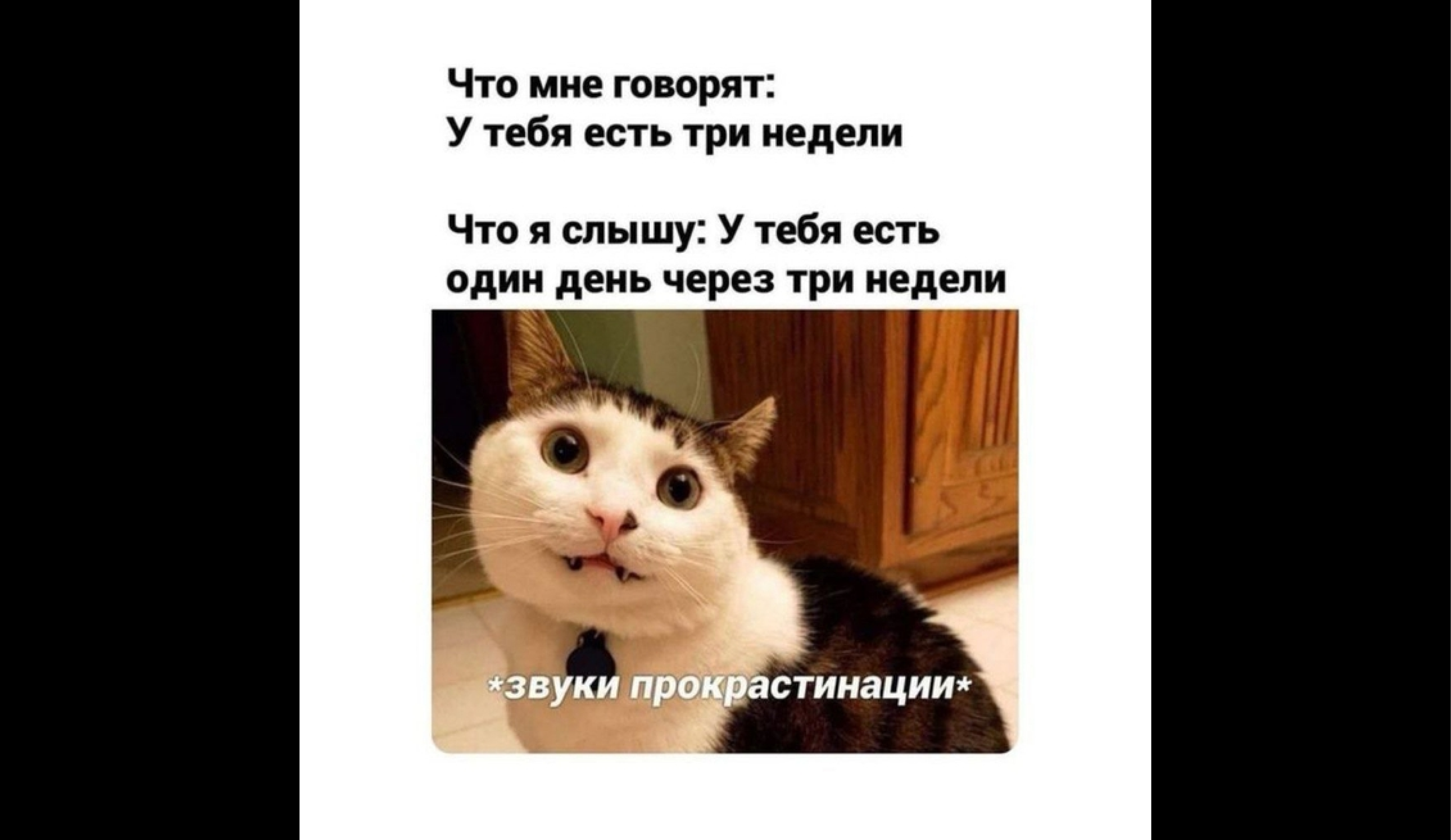 Как перестать прокрастинировать и начать успевать все в учебе