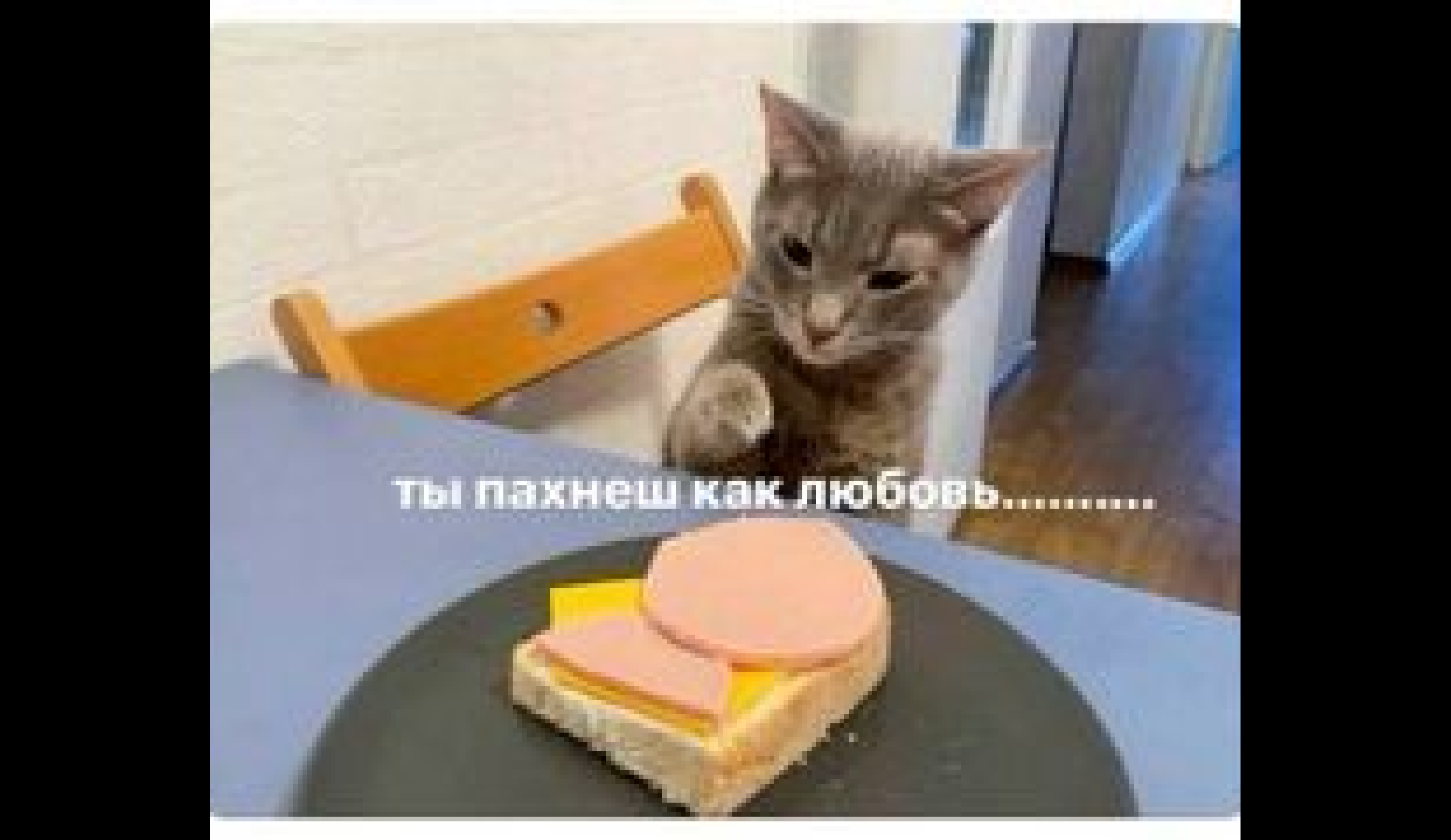 Культура питания студентов: как питаться недорого и полезно