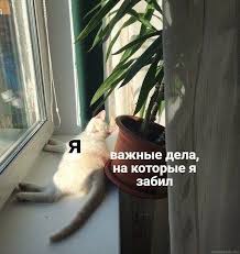 Как перестать прокрастинировать