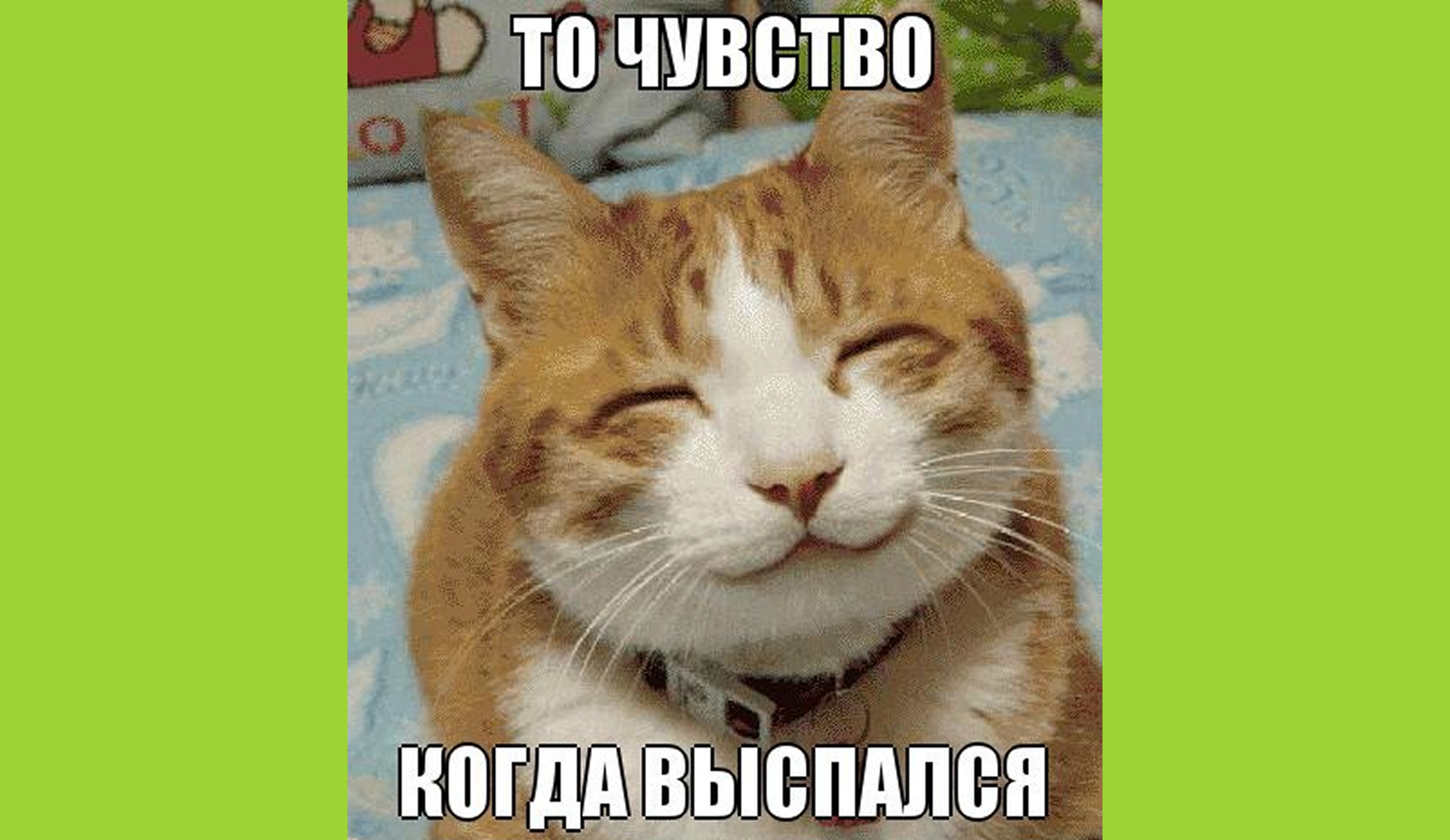 Можно ли студенту хорошо выспаться и не завалить учебу?