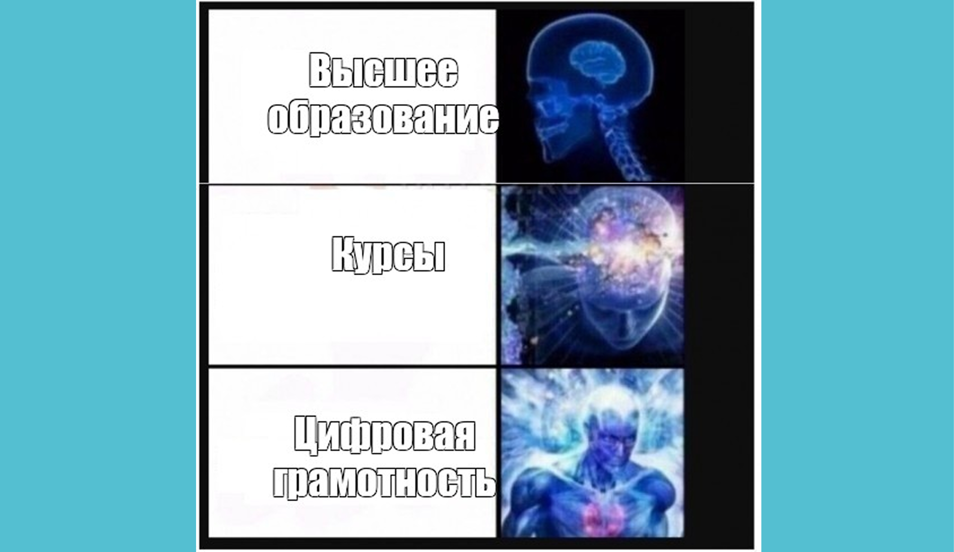 Цифровая грамотность в современном мире: зачем она студентам?