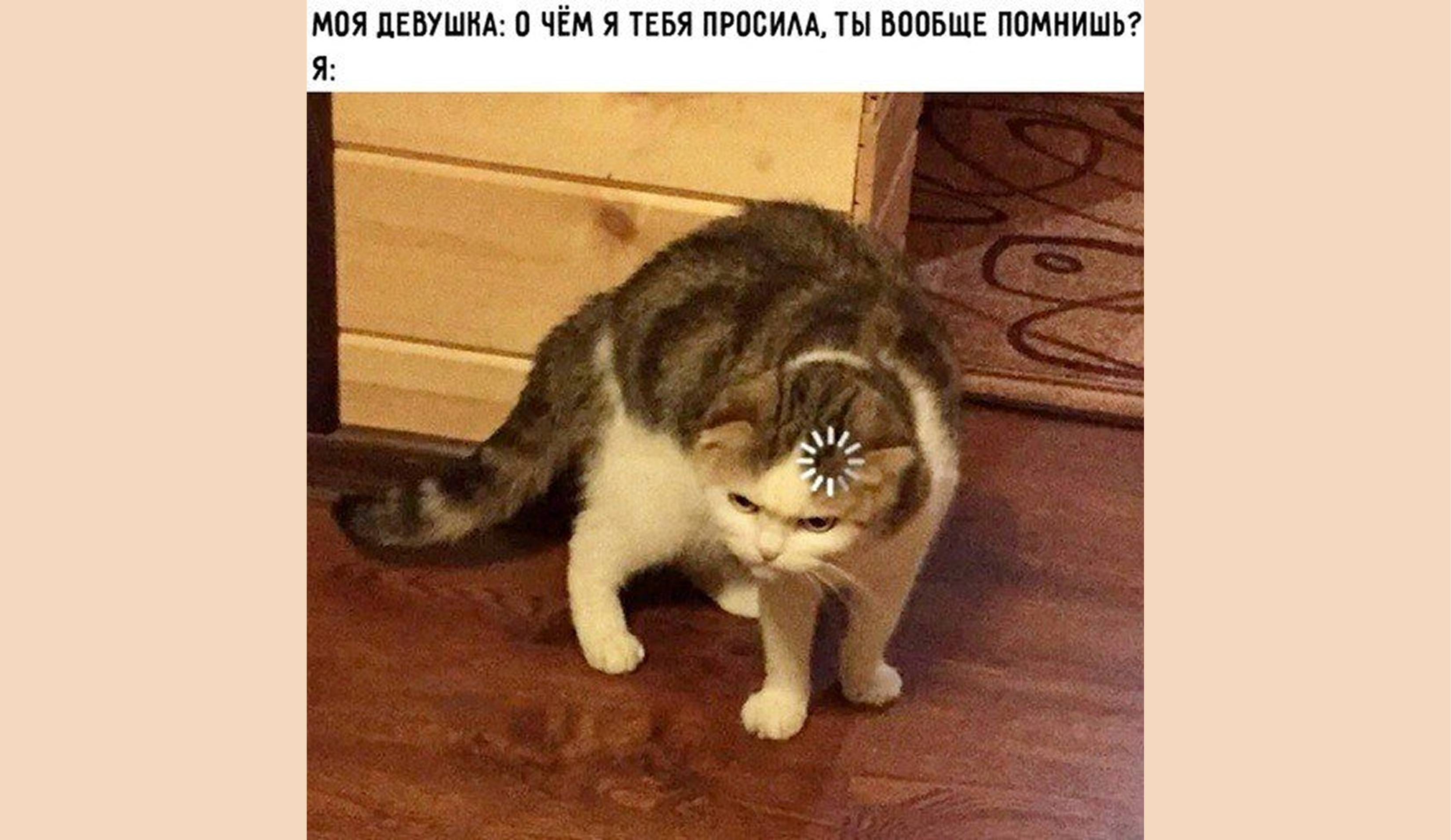 Память. Техники запоминания для студентов