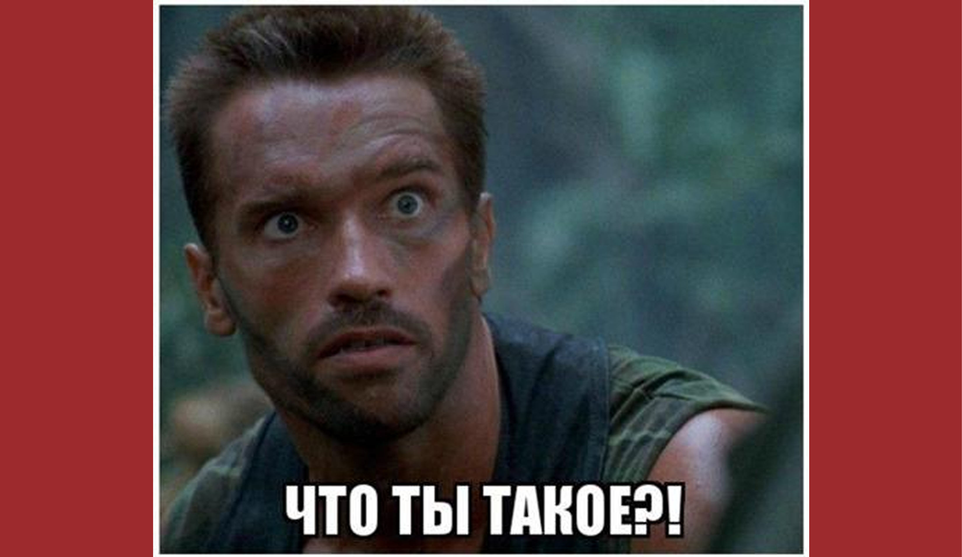 Что такое рецензия на дипломную работу, и как ее оформить? Примеры