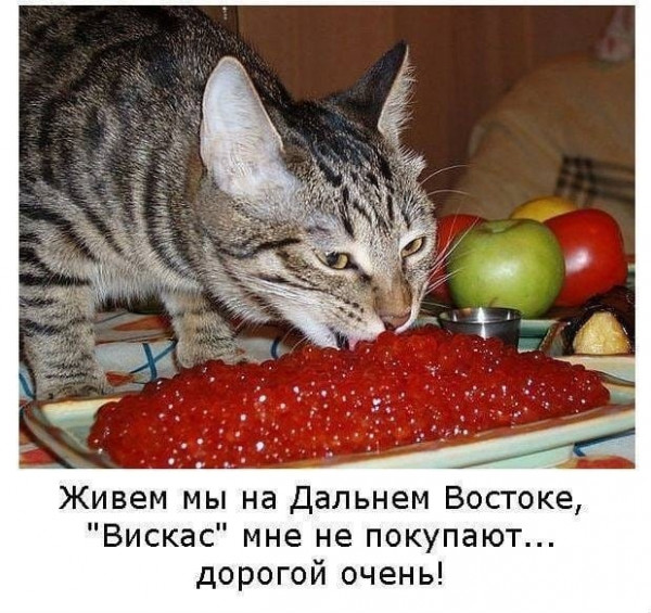 сэкономить на