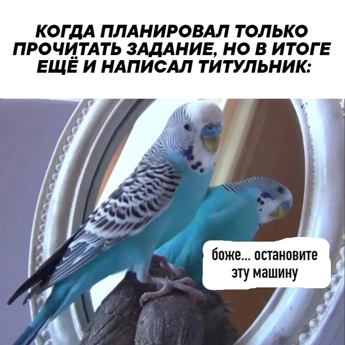 оформление титульного листа 2025
