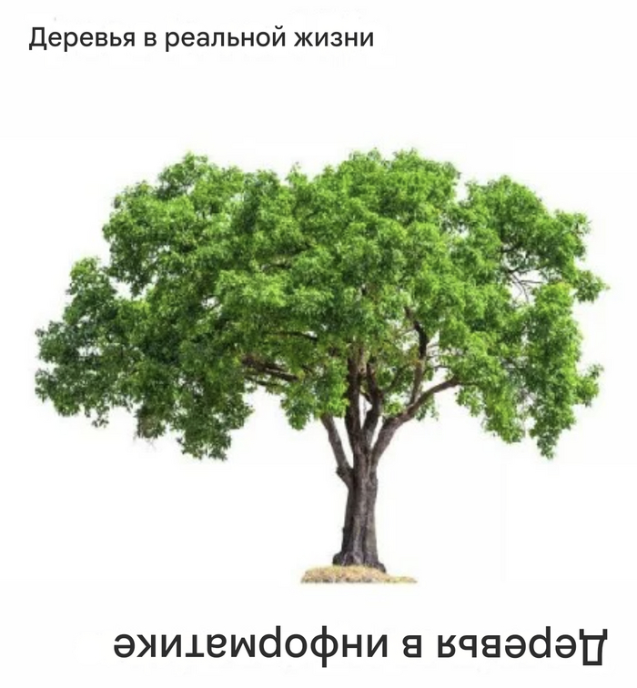 курсовую по информатике