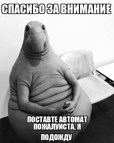 олучить автомат на зачете