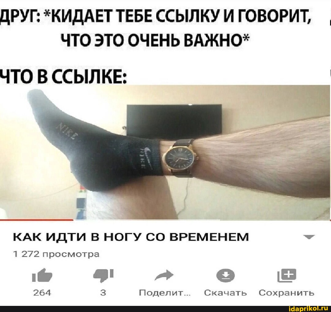 Сноски обычно используются для кратких пояснений, уточнений или дополнительных комментариев, которые не вписываются в основное повествование, но все же важны.