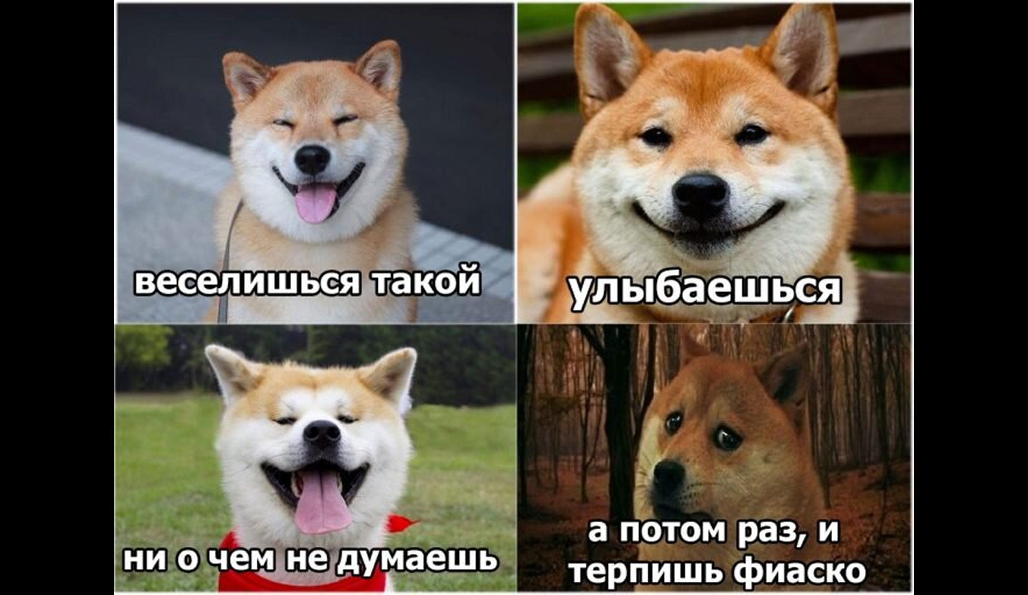 Что делать, если ты провалил экзамен: алгоритм действий