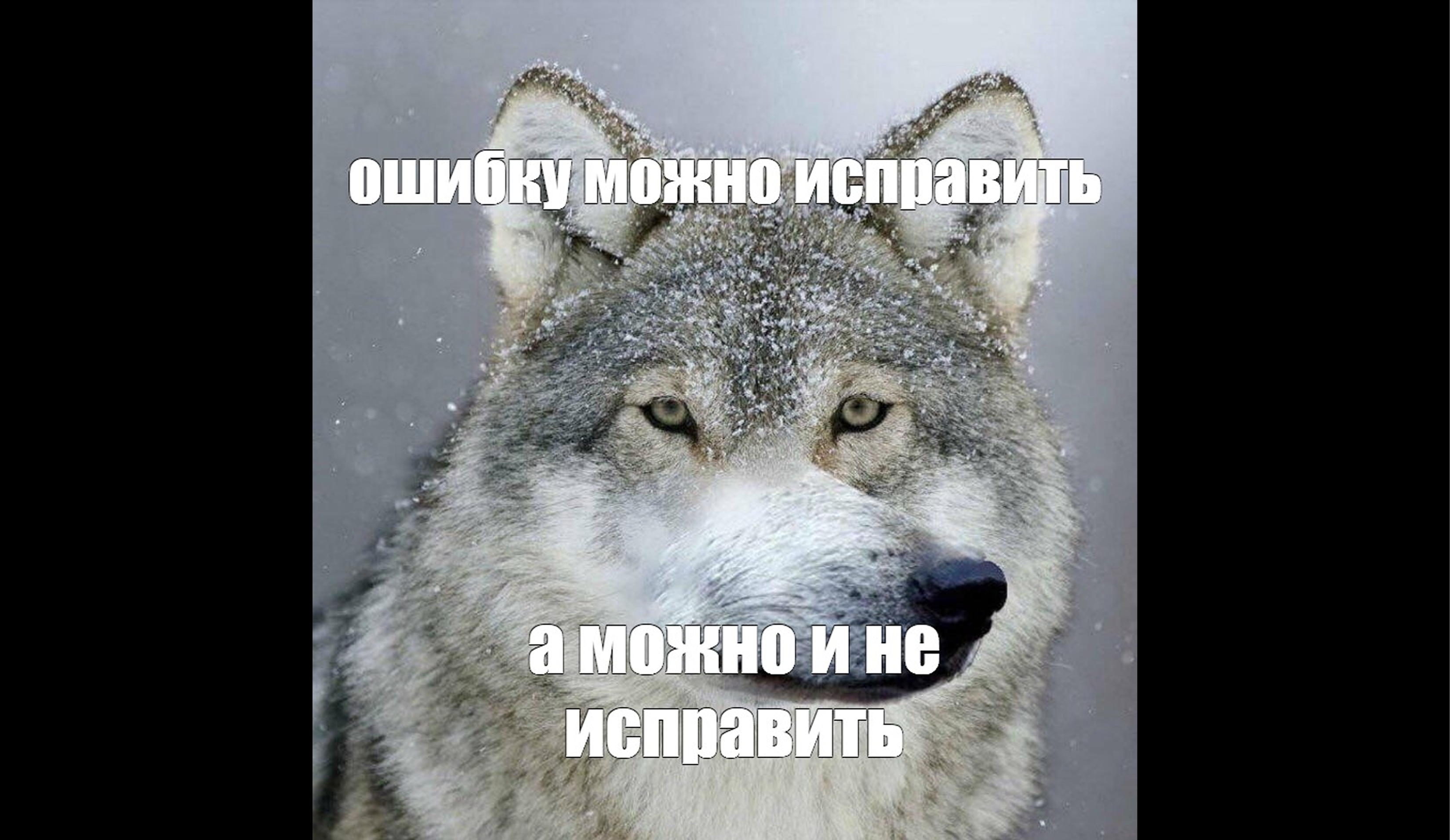 Цитирование и заимствование: в чем разница и как применять