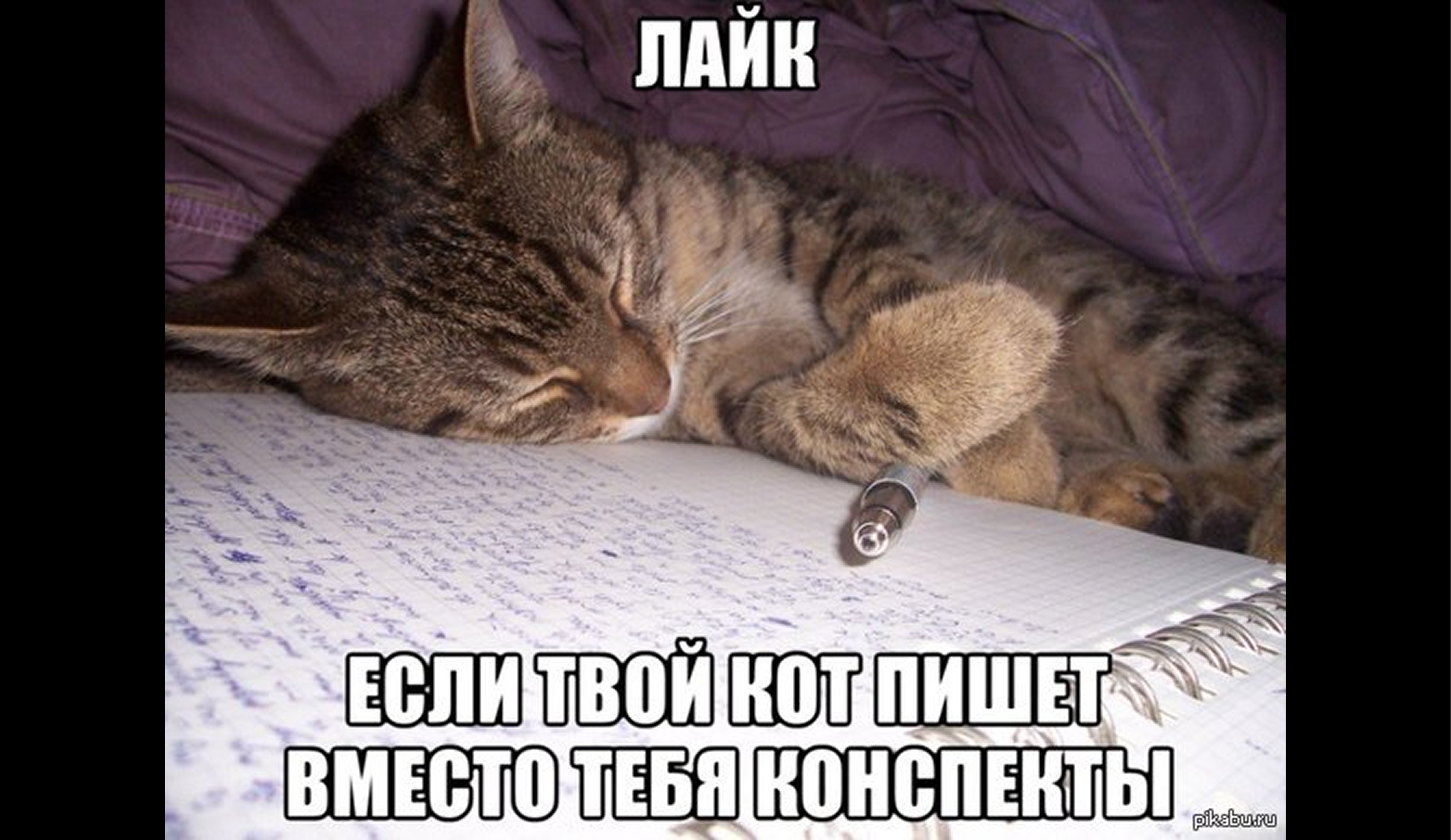 Конспектирование учебников: как писать без воды
