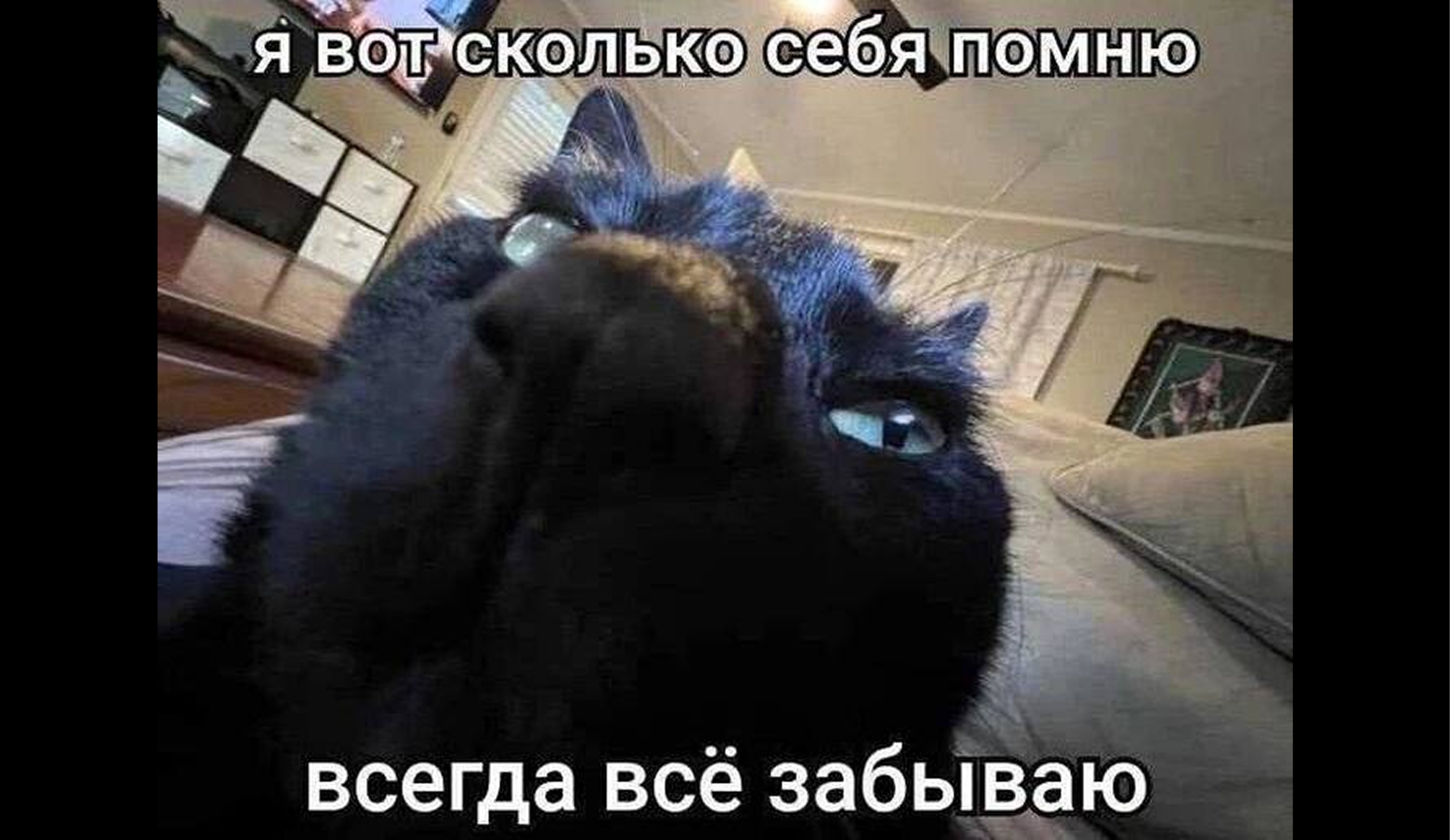 Быстрые техники запоминания: лайфхаки