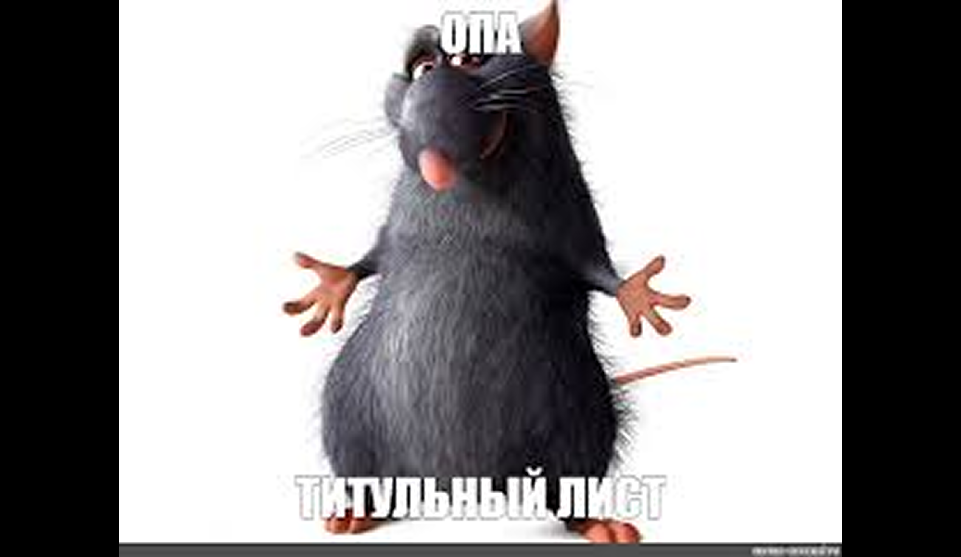 Как правильно оформить титульный лист в 2025