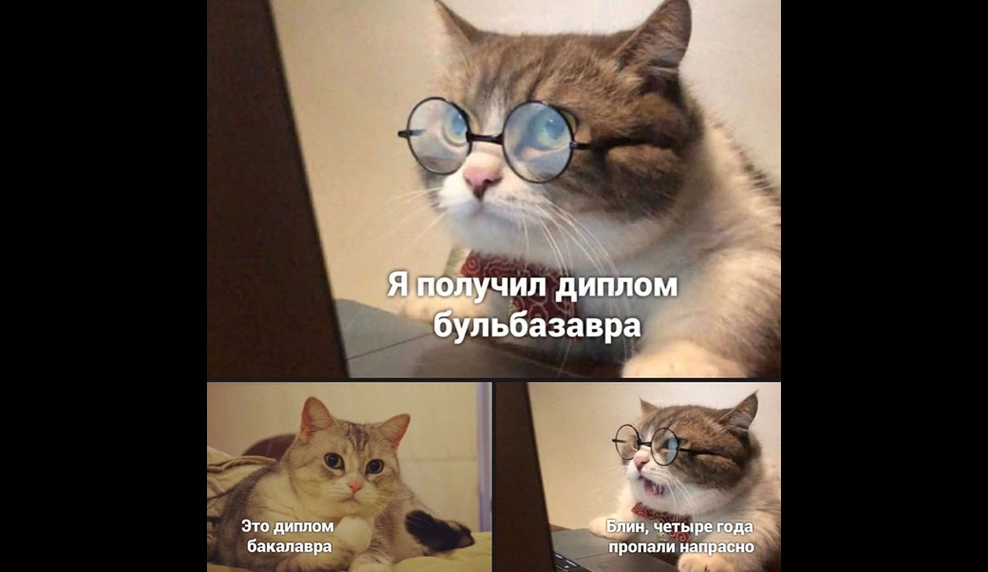 Как оформить приложение в дипломе: правила и примеры