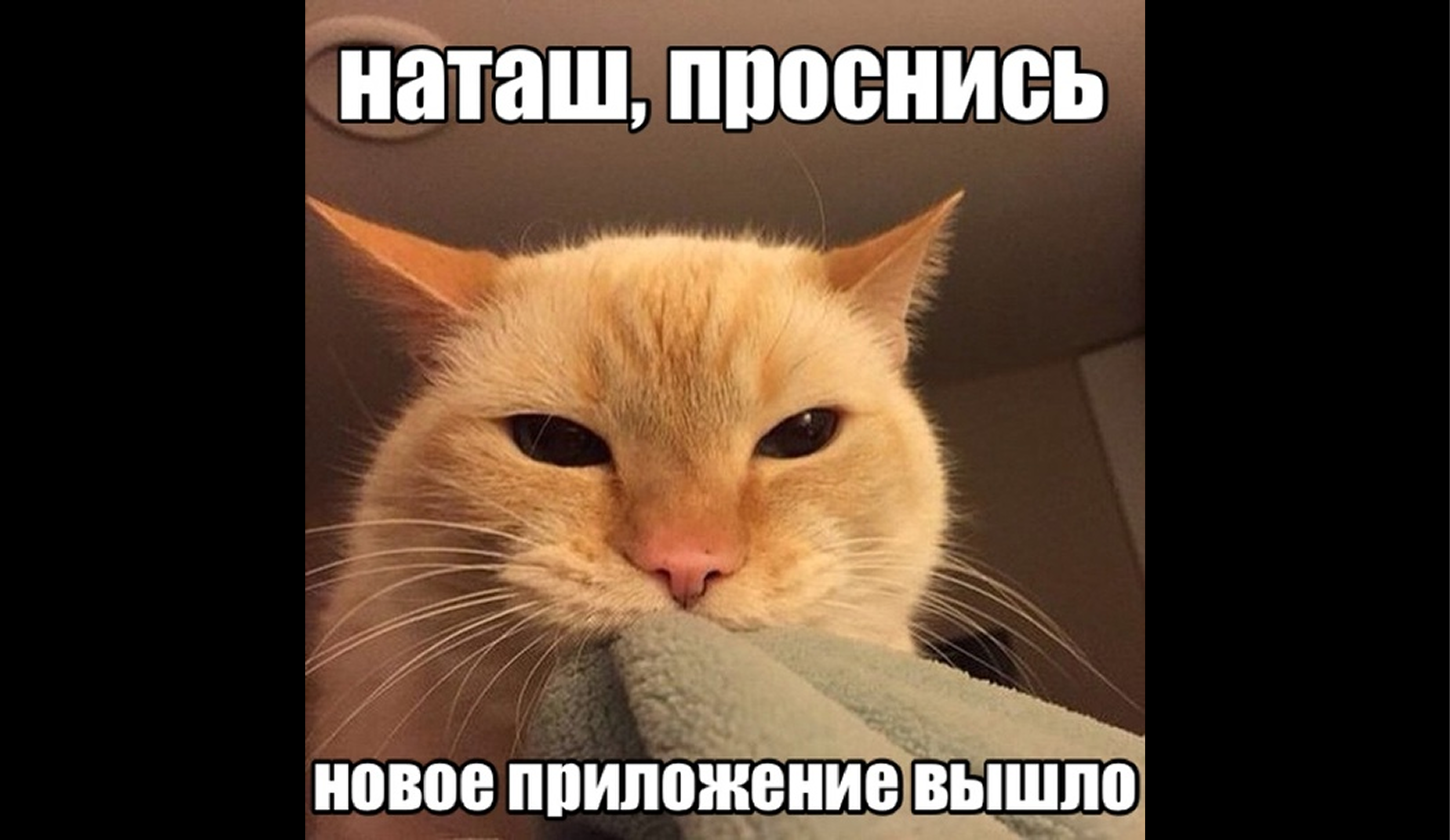 Бесплатные приложения для презентаций на компьютер, кроме Power Point