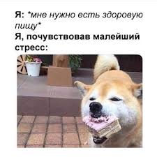 снятие стресса перед экзаменами