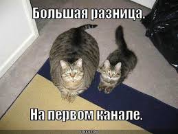 аннотация введение