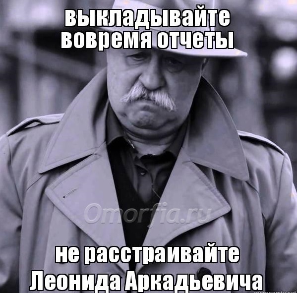 Отчет на высшую категорию
