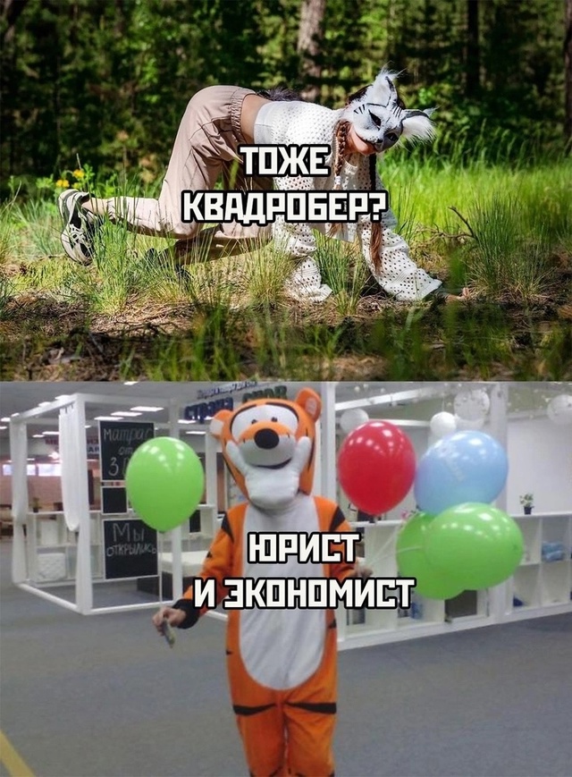 Юридическая практика