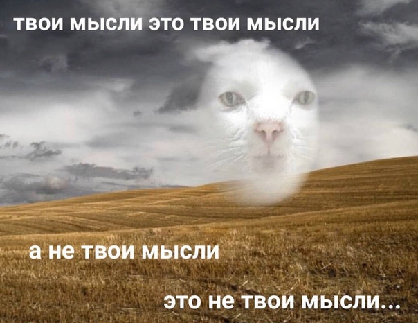  качественное эссе