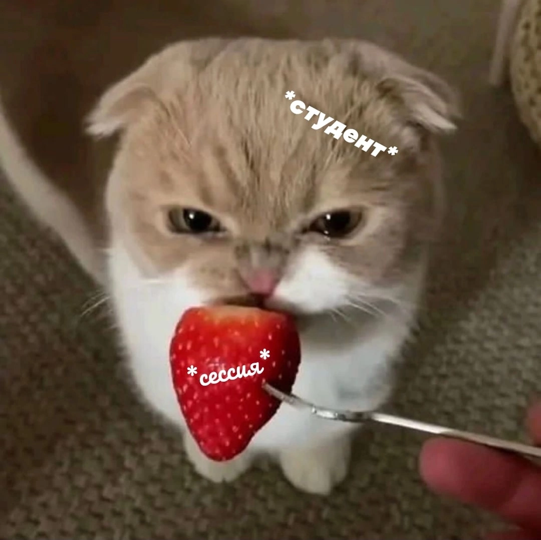 первая сессия студента