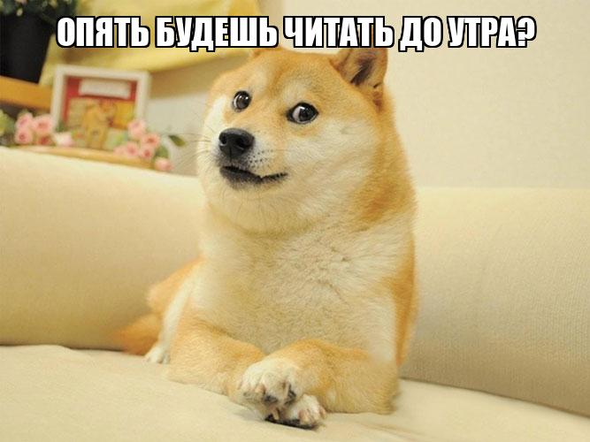что почитать студенту