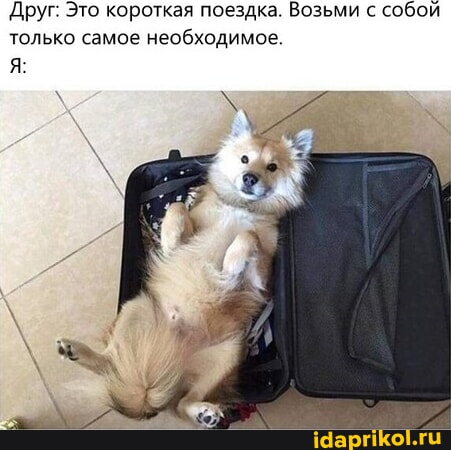бюджетные поездки