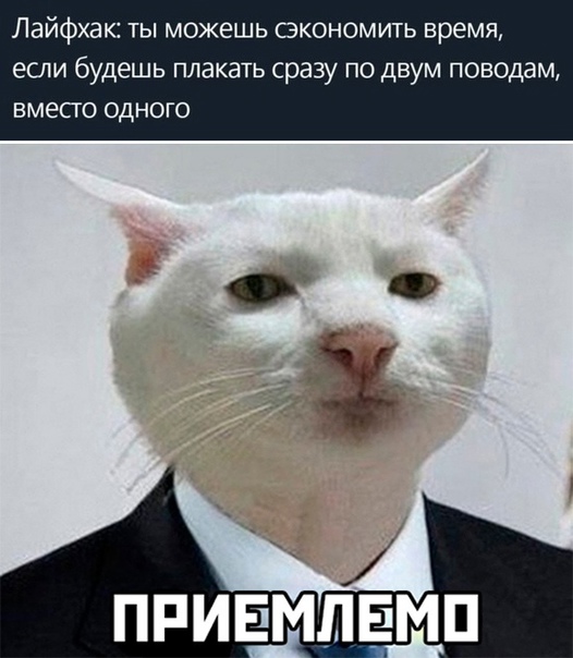 лайфхаки для учебы