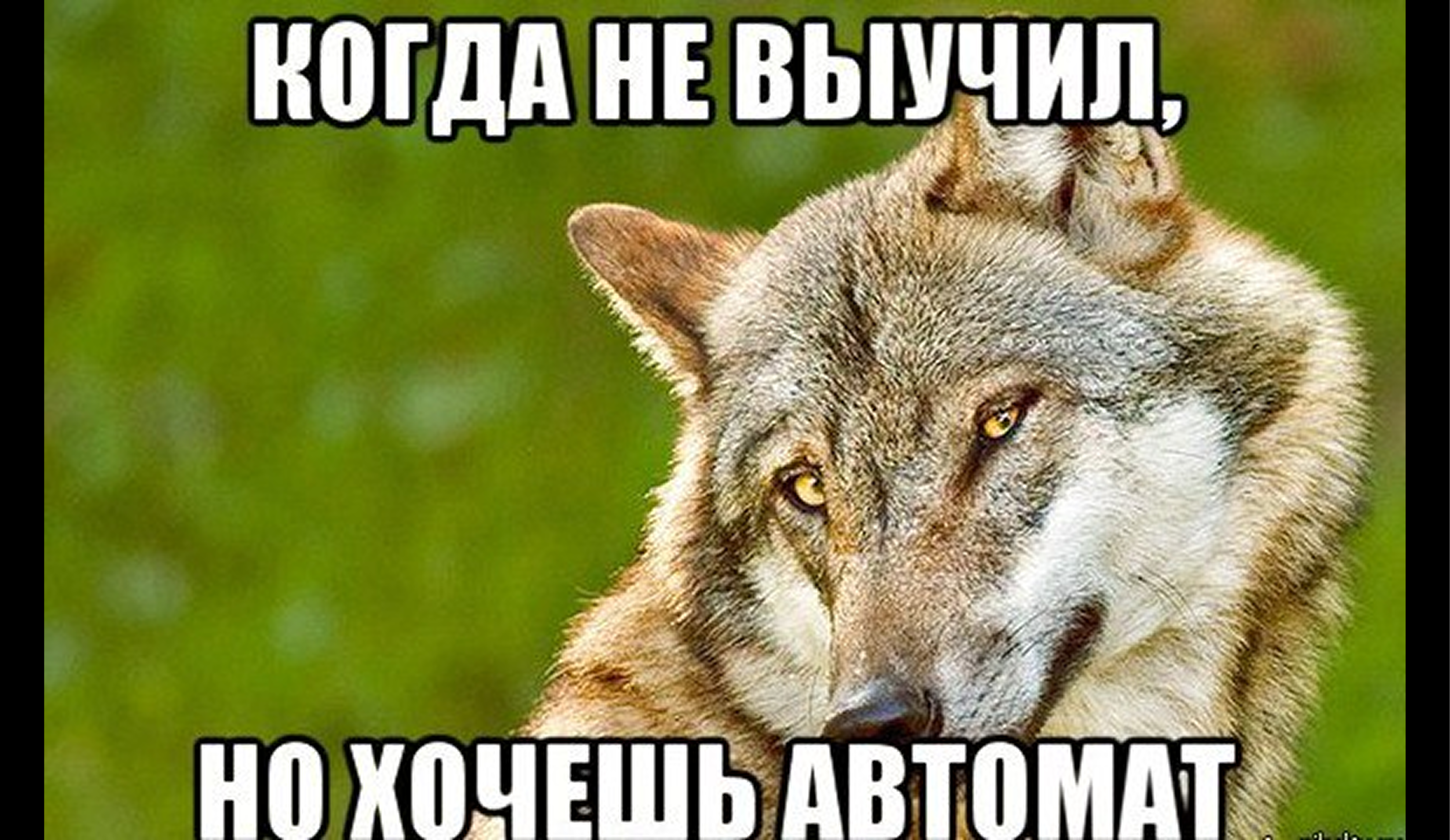 Как получить автомат на зачете в университете?