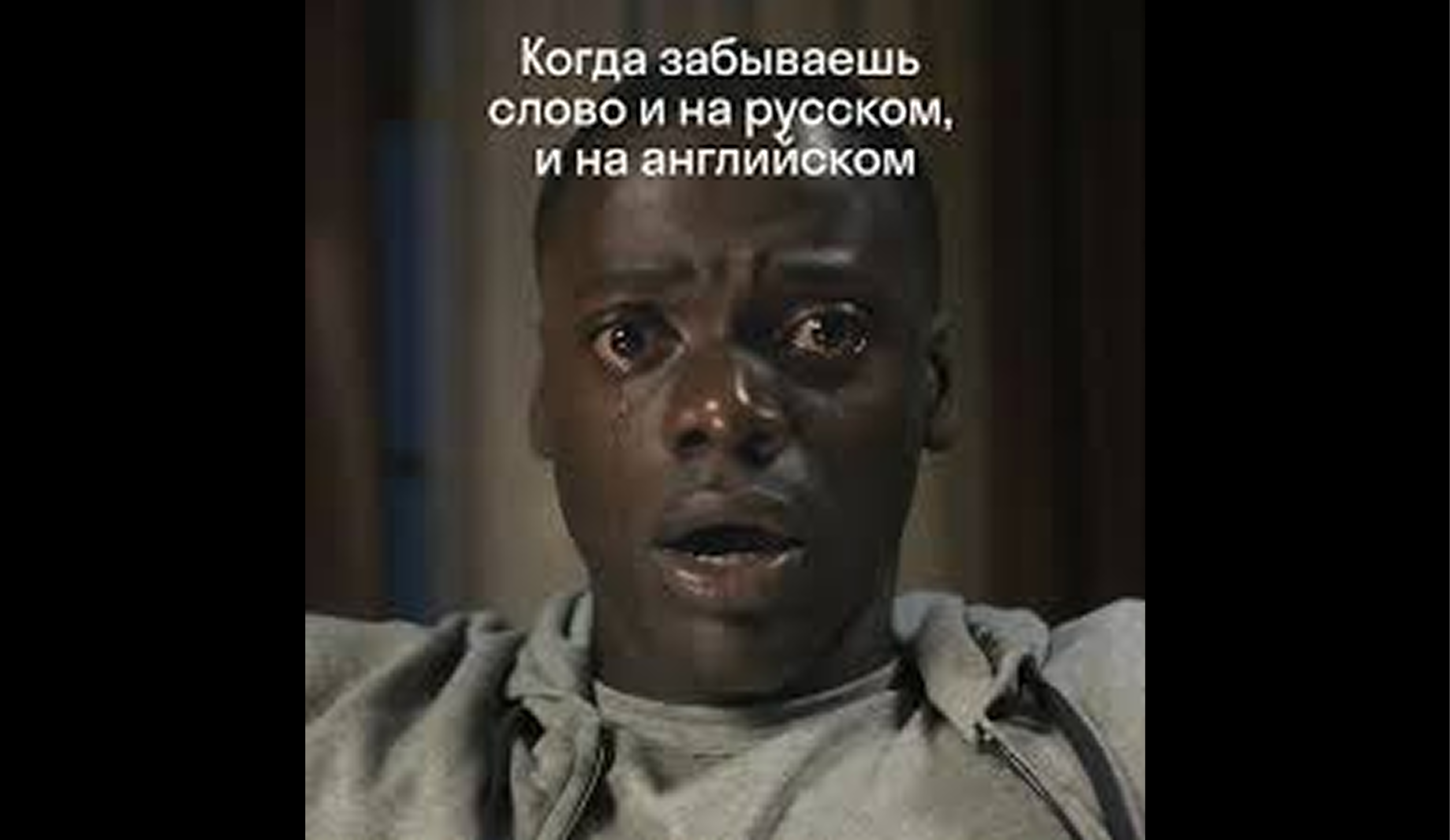 Курсовая работа на английском языке: как написать