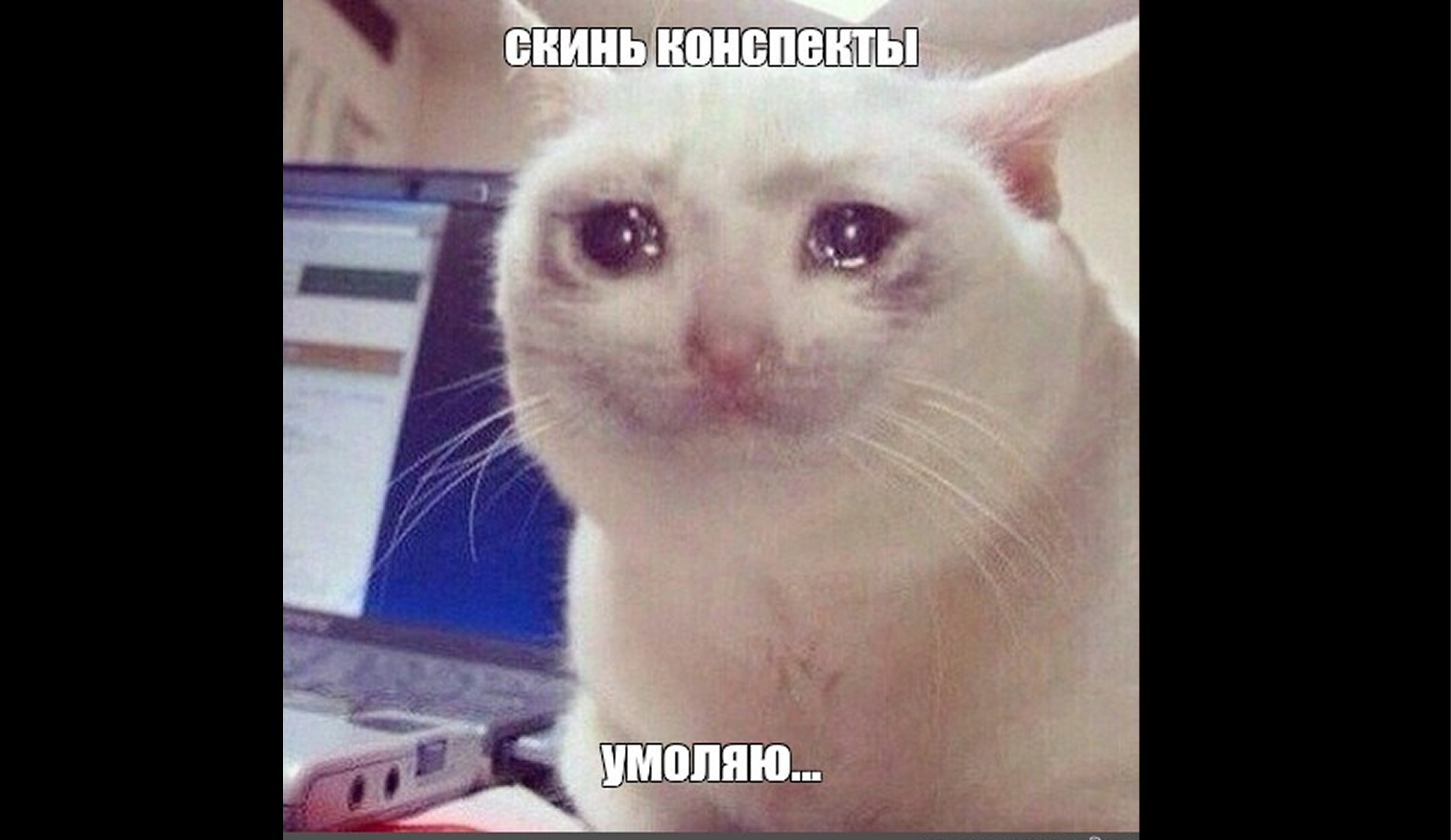 Лайфхаки для учебы: как эффективно вести конспекты