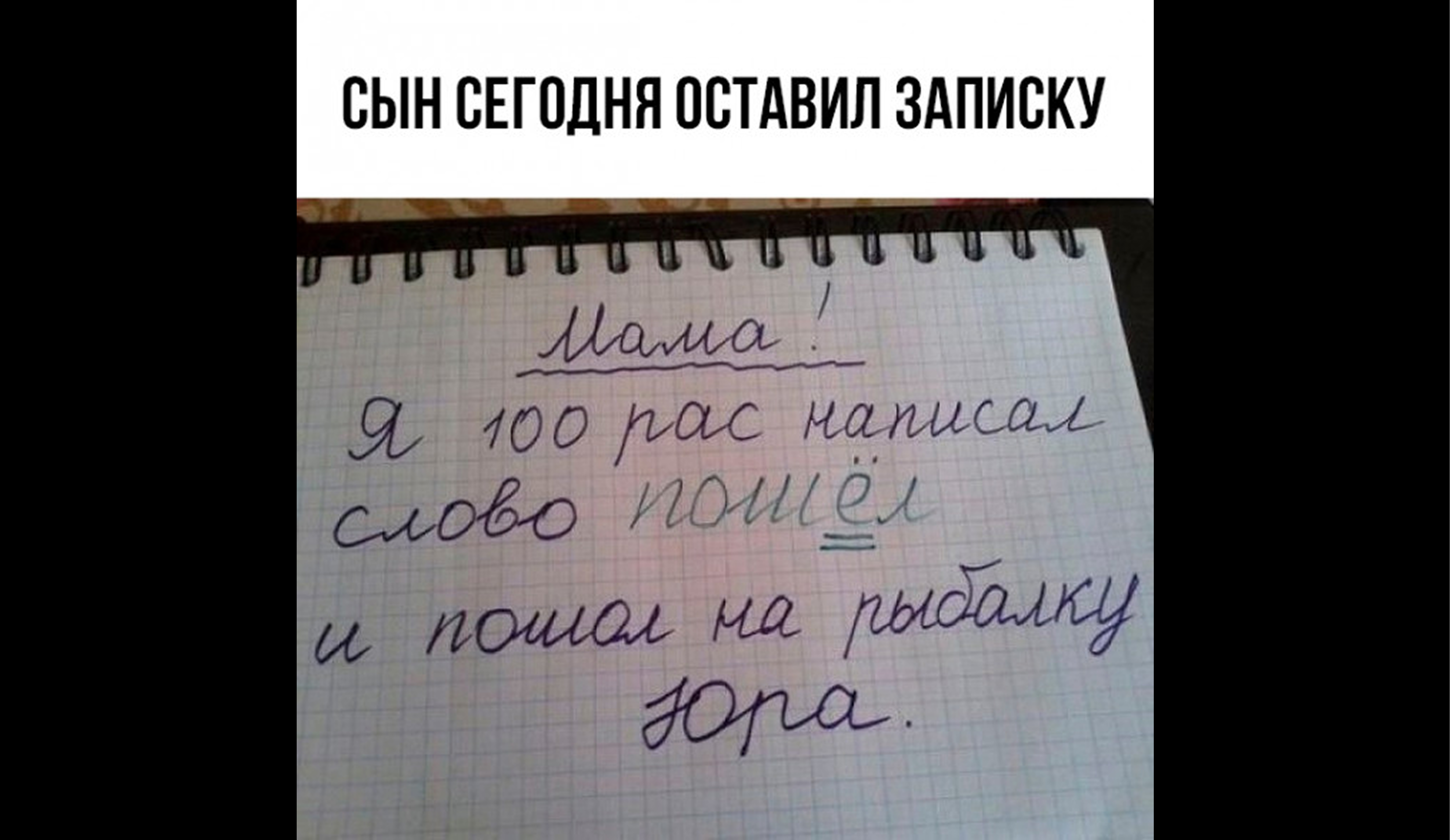 Как написать объяснительную в вуз: структура и примеры