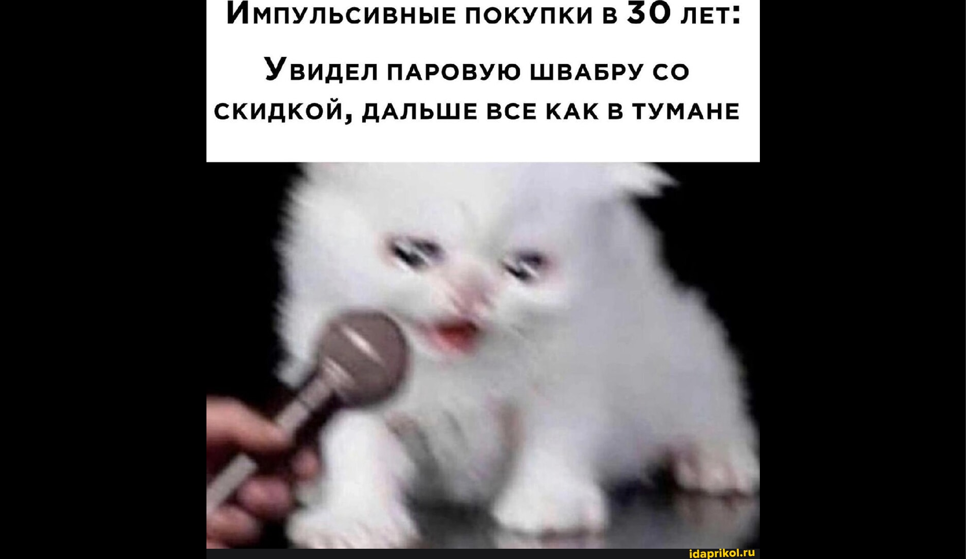 Покупки для учебы: что нужно студенту
