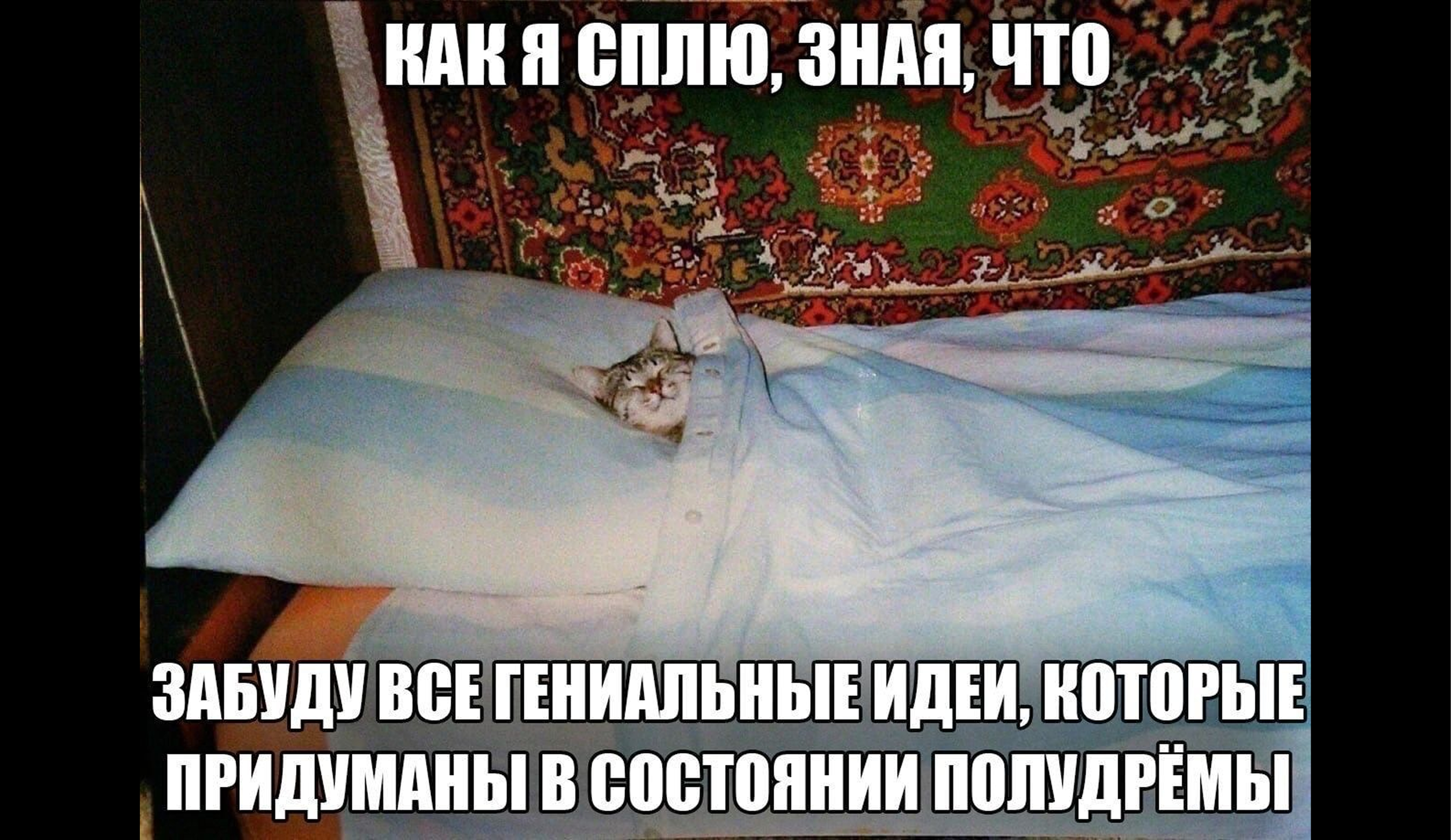 Лайфхаки для учебы: как не потеряться в потоке