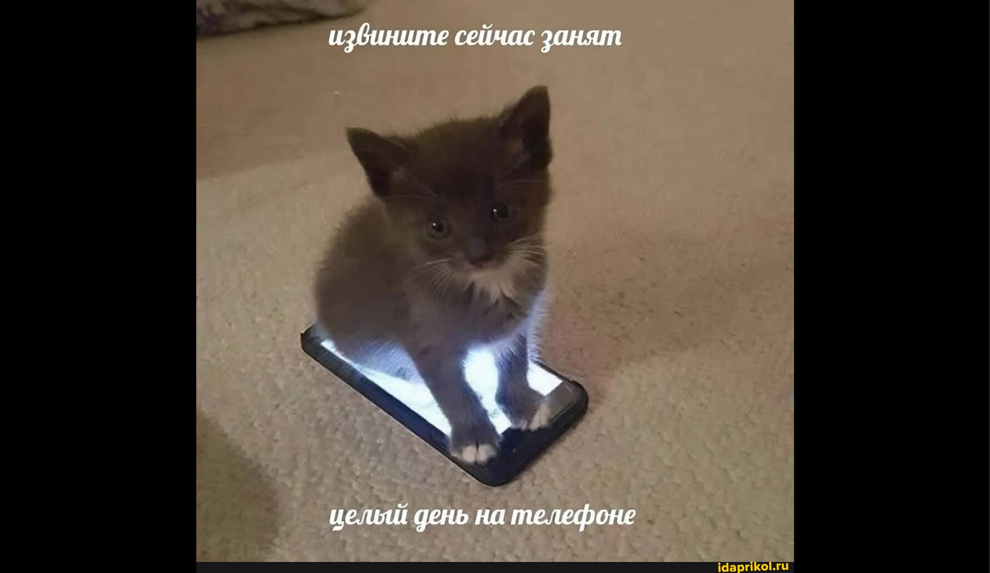 Можно ли оставаться здоровым, если сидишь за компьютером весь день?