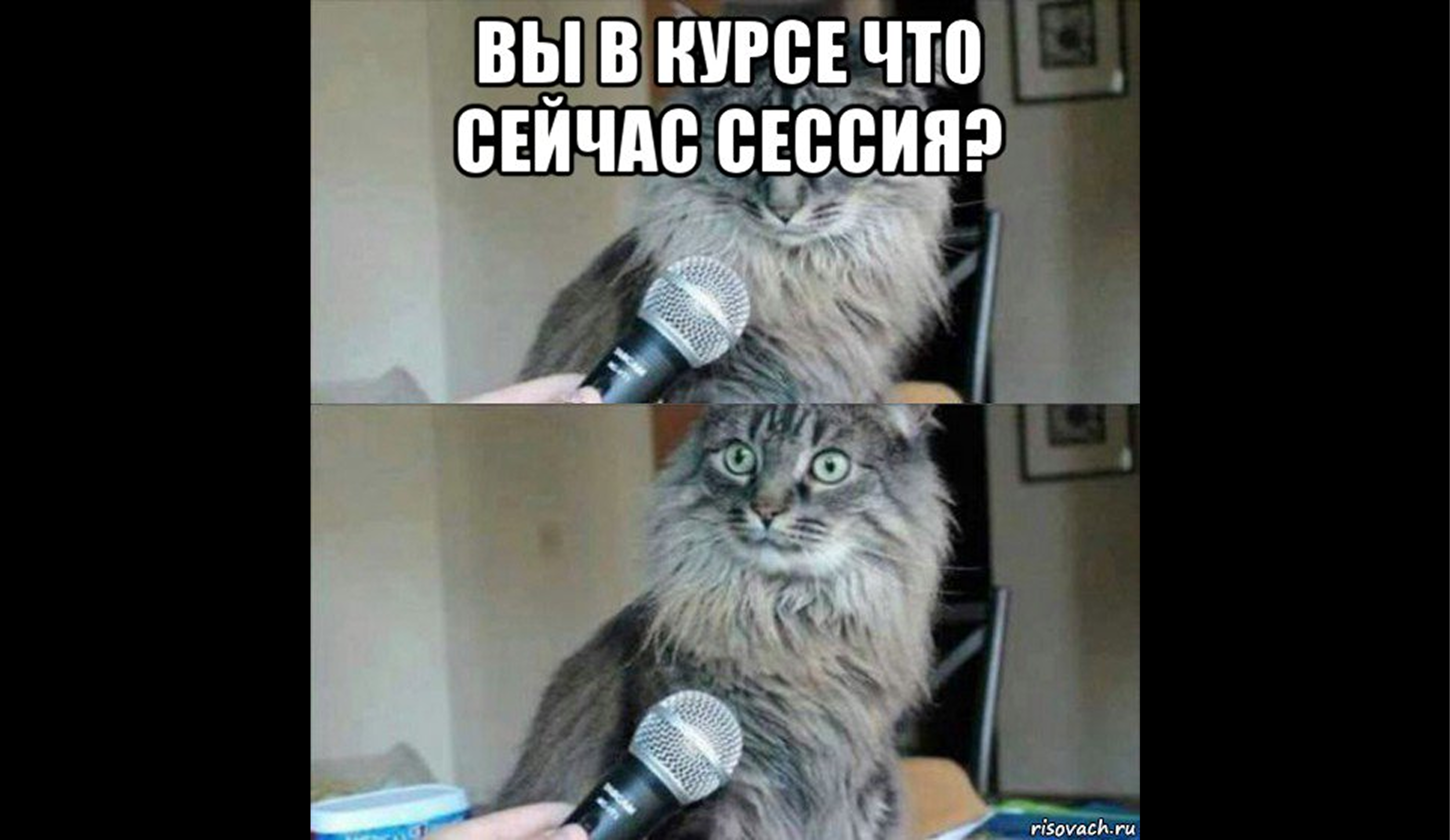 Как пережить первую сессию без стресса: советы новичкам