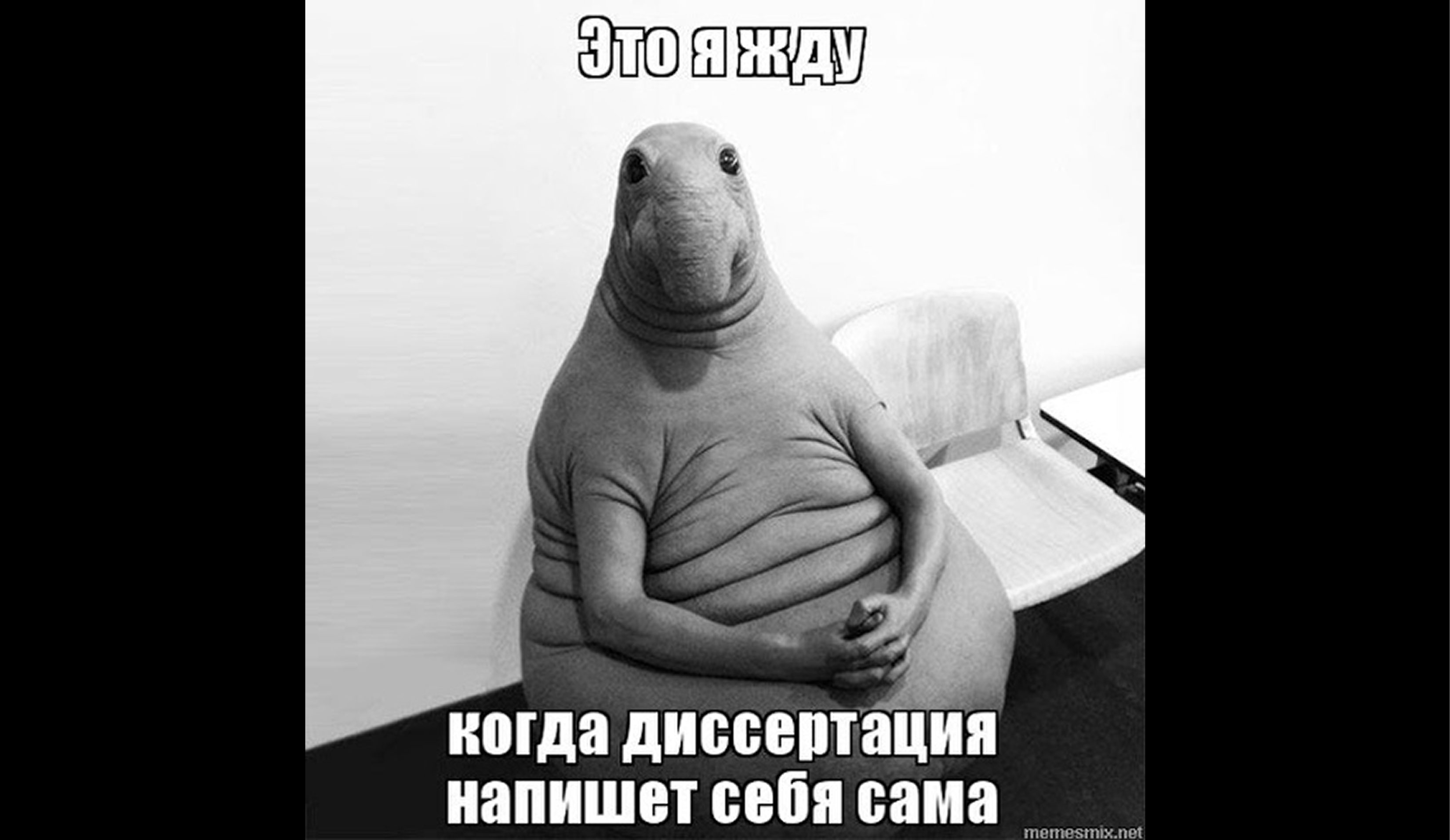 Что учитывать при подаче диссертации в вузе в 2025 году